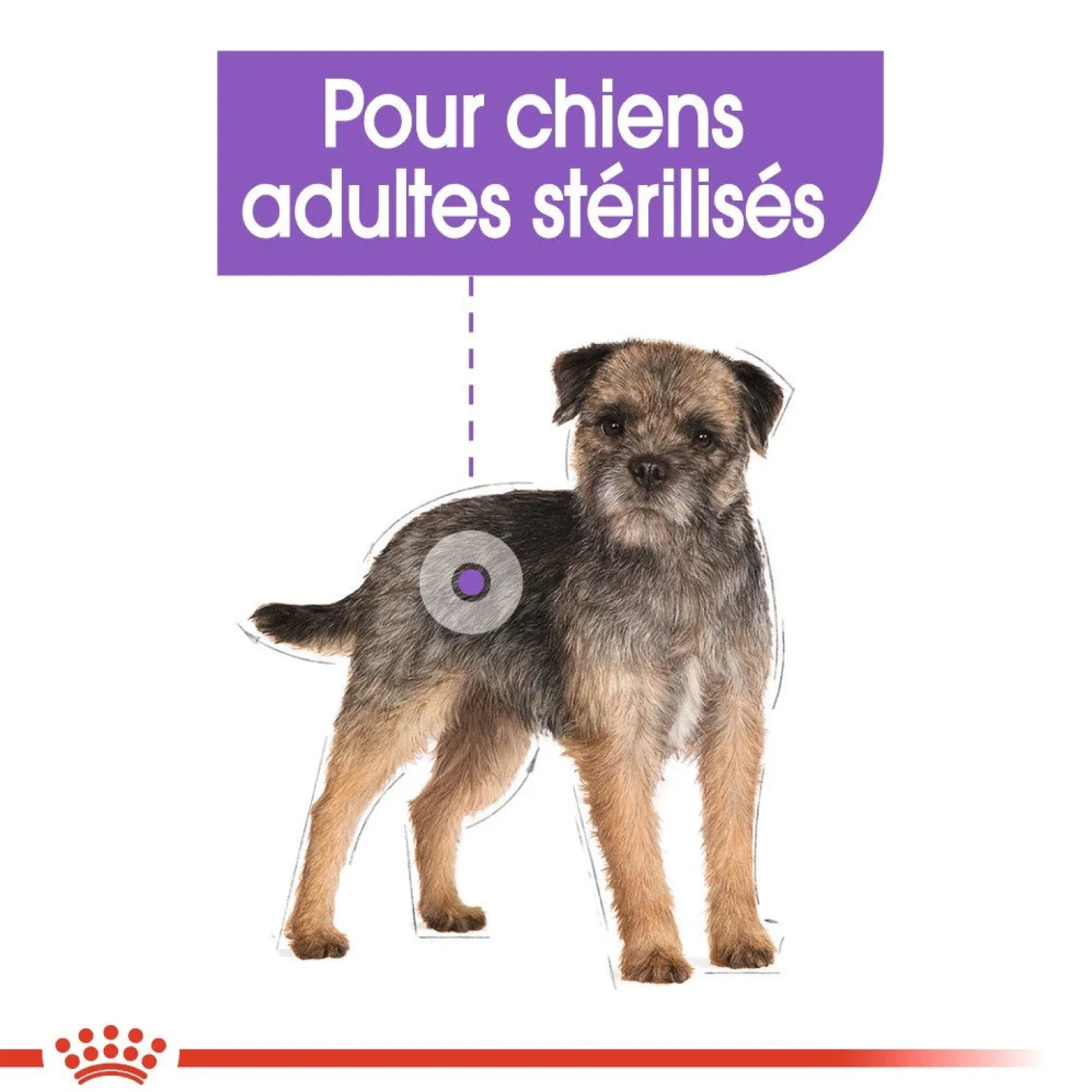 Royal Canin Sterilised - pâtée chien
