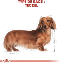Royal Canin Teckel Adult (Dachshund) - Croquettes pour chien