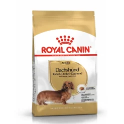 Royal Canin Teckel Adult (Dachshund) - Croquettes pour chien