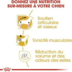 Royal Canin Teckel Adult (Dachshund) - Croquettes pour chien