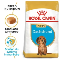 Royal Canin Teckel Puppy (Dachshund) - croquettes chiot