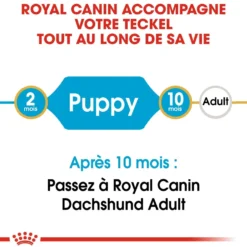 Royal Canin Teckel Puppy (Dachshund) - croquettes chiot