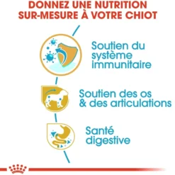 Royal Canin Teckel Puppy (Dachshund) - croquettes chiot