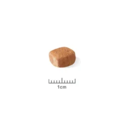 Royal Canin Teckel Puppy (Dachshund) - croquettes chiot