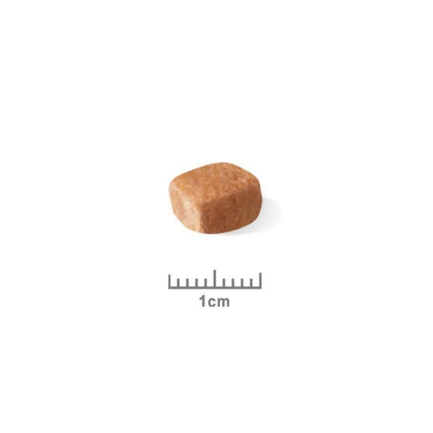 Royal Canin Teckel Puppy (Dachshund) - croquettes chiot