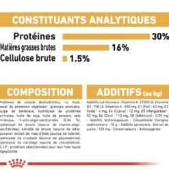 Royal Canin Teckel Puppy (Dachshund) - croquettes chiot