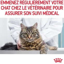 Royal Canin Urinary Care - croquettes chat