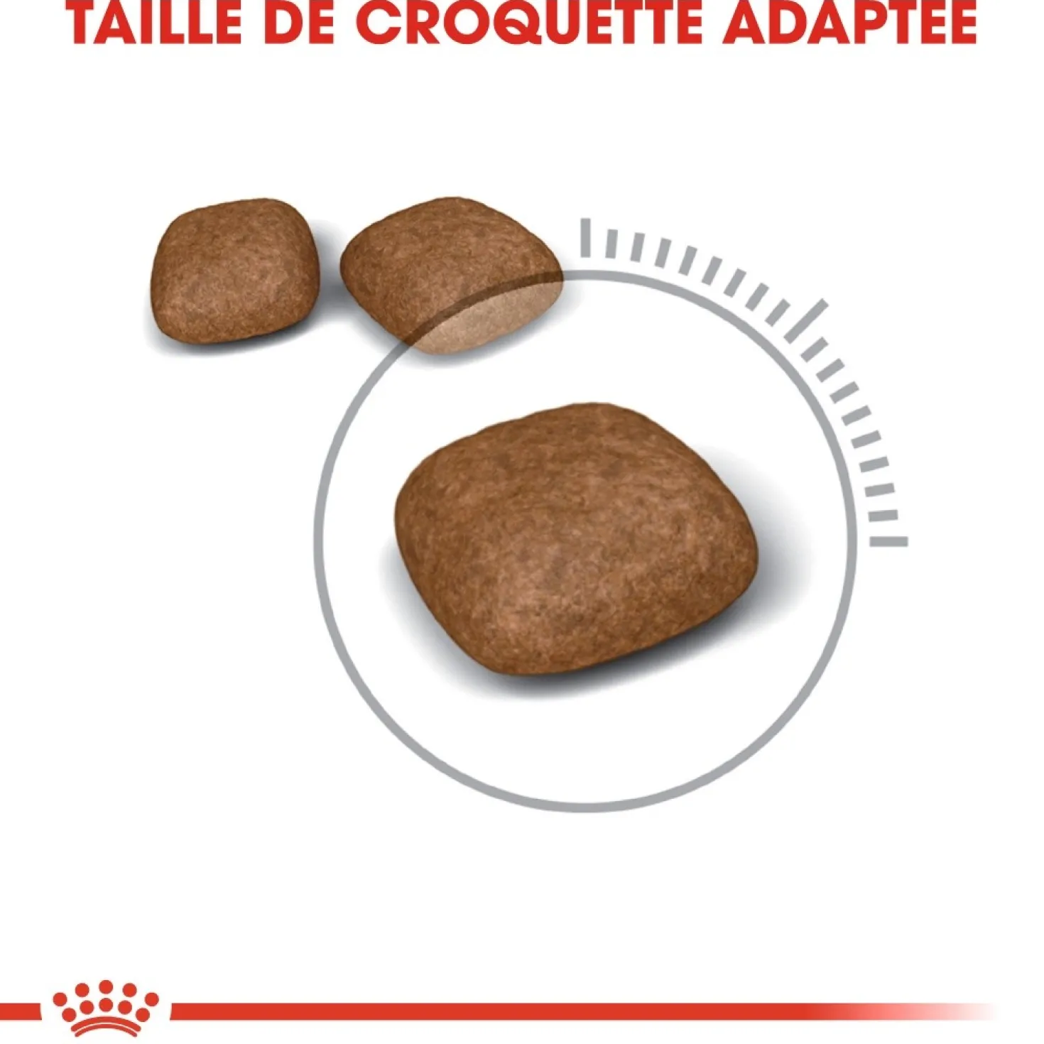 Royal Canin Urinary Care - croquettes chat