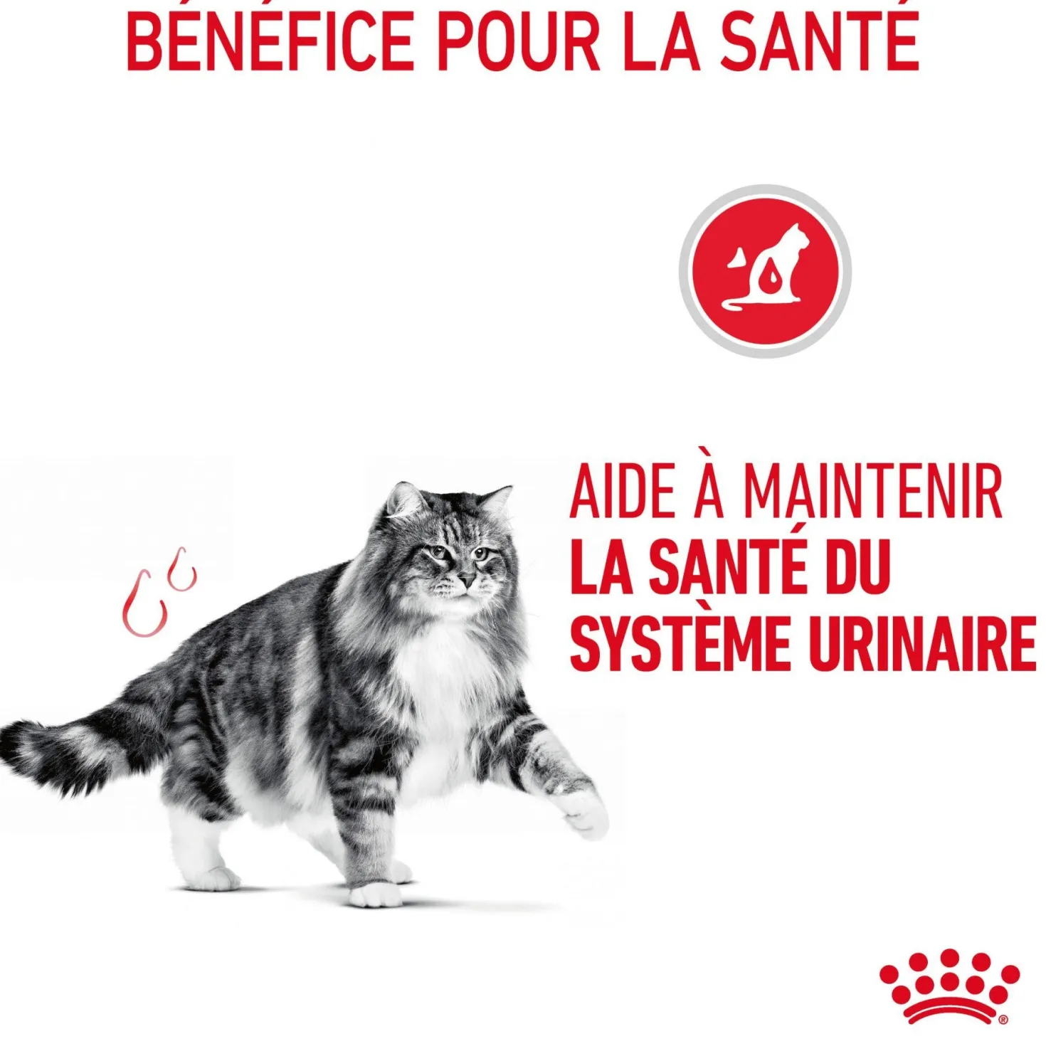 Royal Canin Urinary Care - croquettes chat