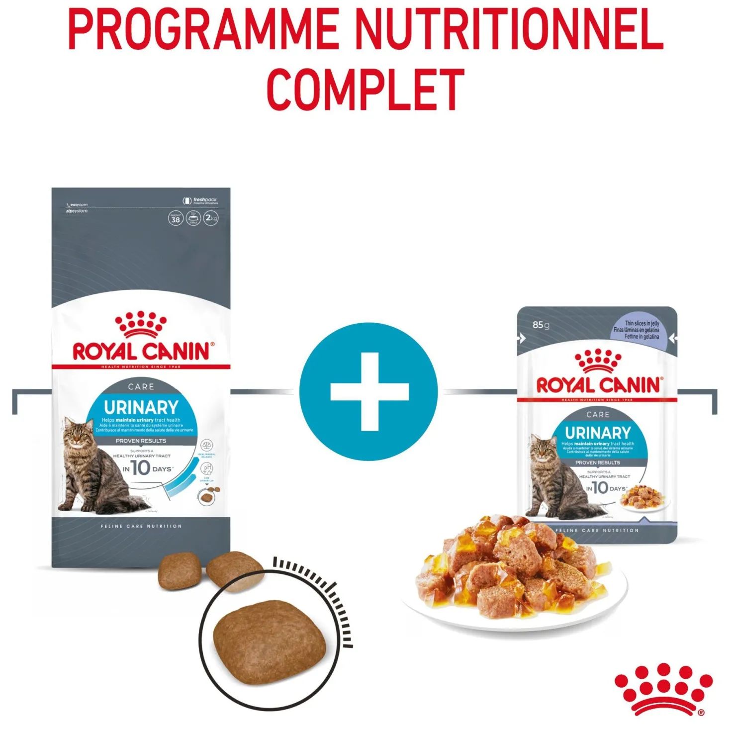 Royal Canin Urinary Care en gelée – pâtée chat