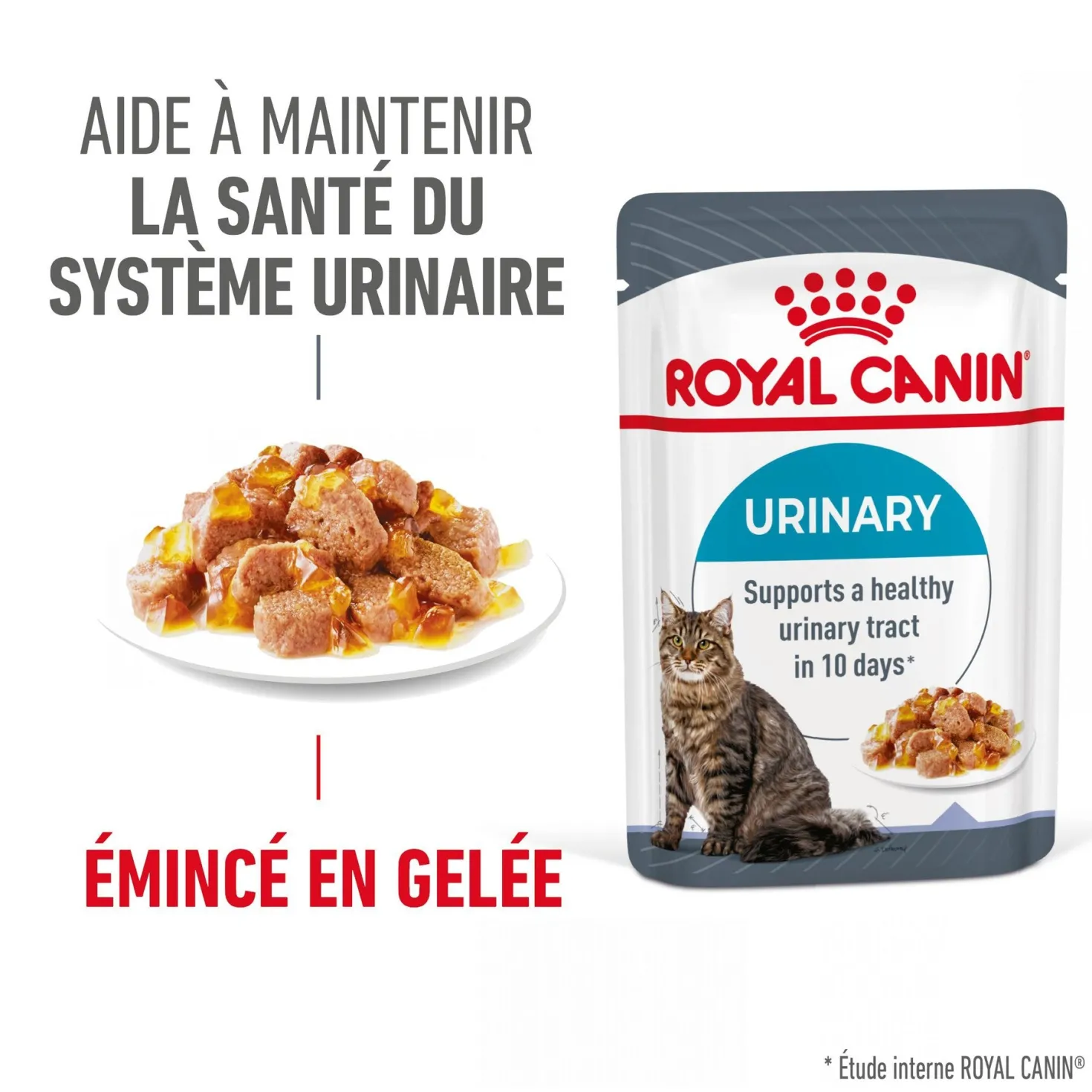 Royal Canin Urinary Care en gelée – pâtée chat