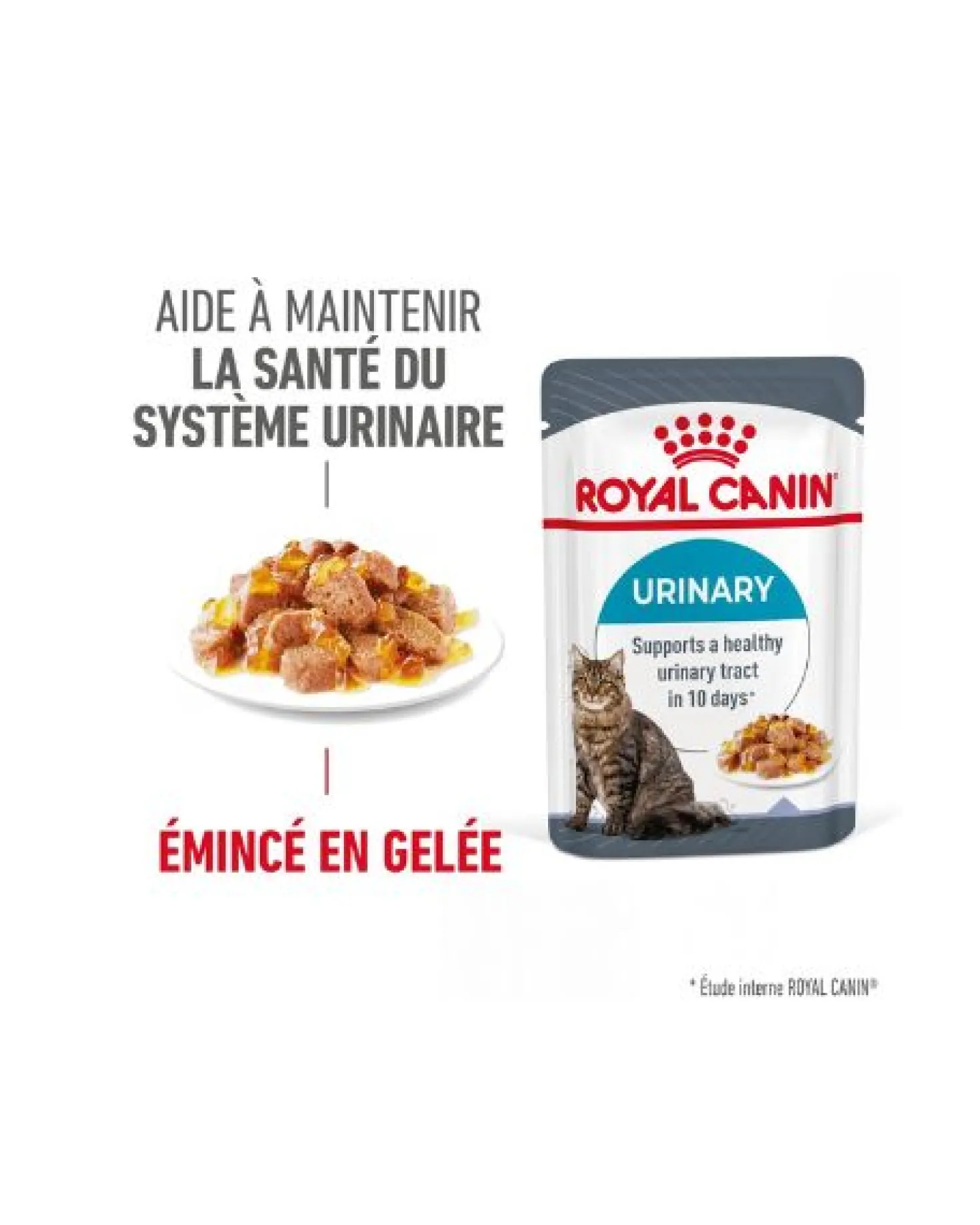 Royal Canin Urinary Care en gelée – pâtée chat