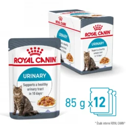 Royal Canin Urinary Care en gelée – pâtée chat