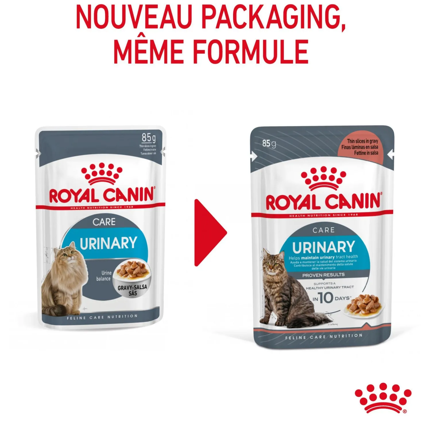 Royal canin Urinary Care en sauce - pâtée chat
