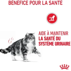 Royal canin Urinary Care en sauce - pâtée chat