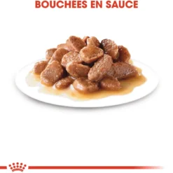 Royal canin Urinary Care en sauce - pâtée chat