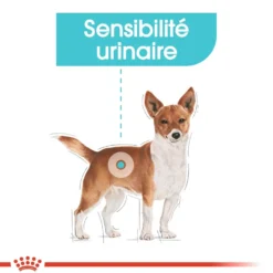 Royal Canin Urinary Care - Pâtée pour chien