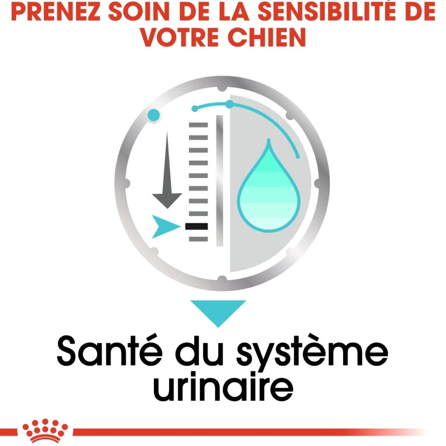 Royal Canin Urinary Care - Pâtée pour chien