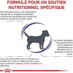 Royal Canin Vet Care Adult Small Dog - croquettes chien