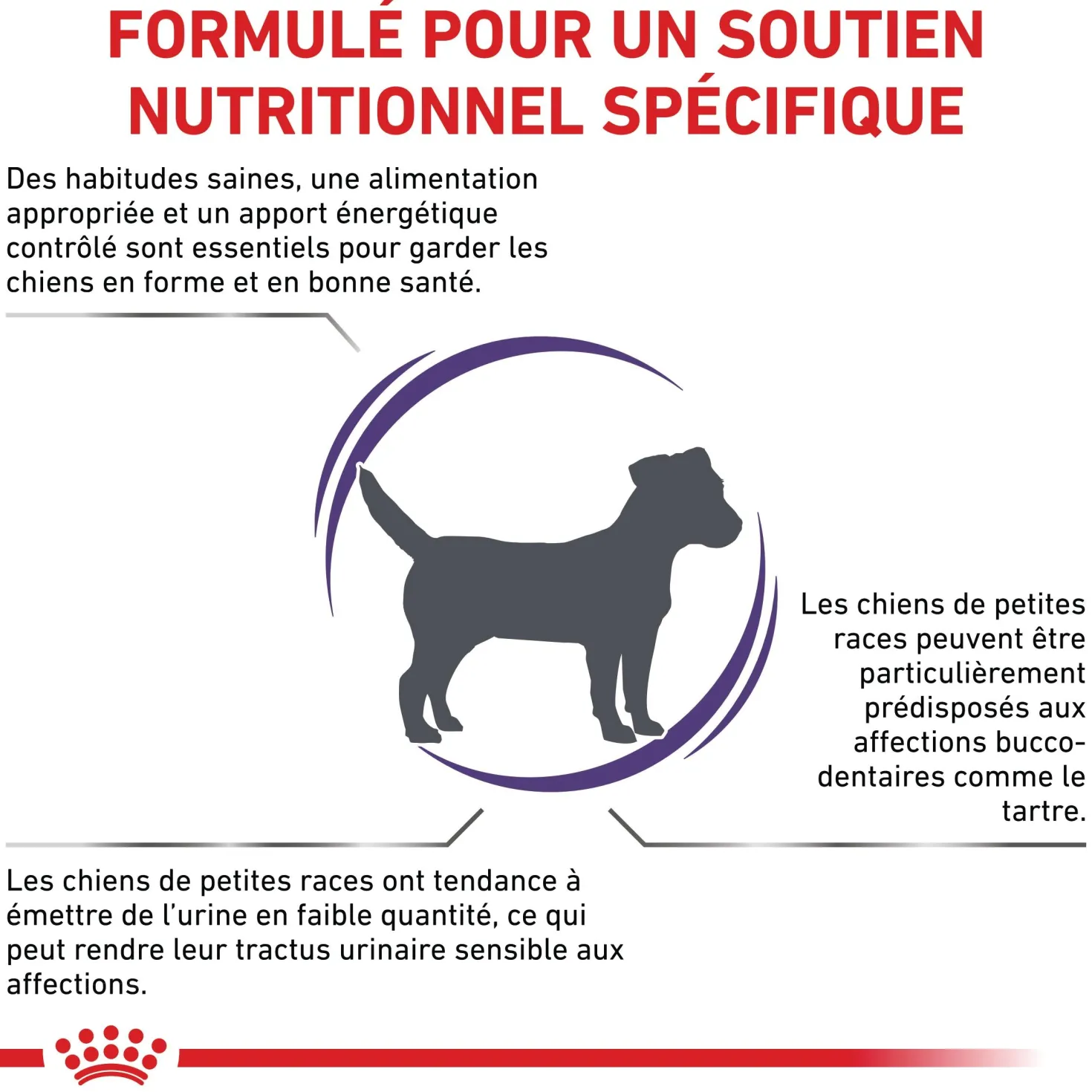 Royal Canin Vet Care Adult Small Dog - croquettes chien