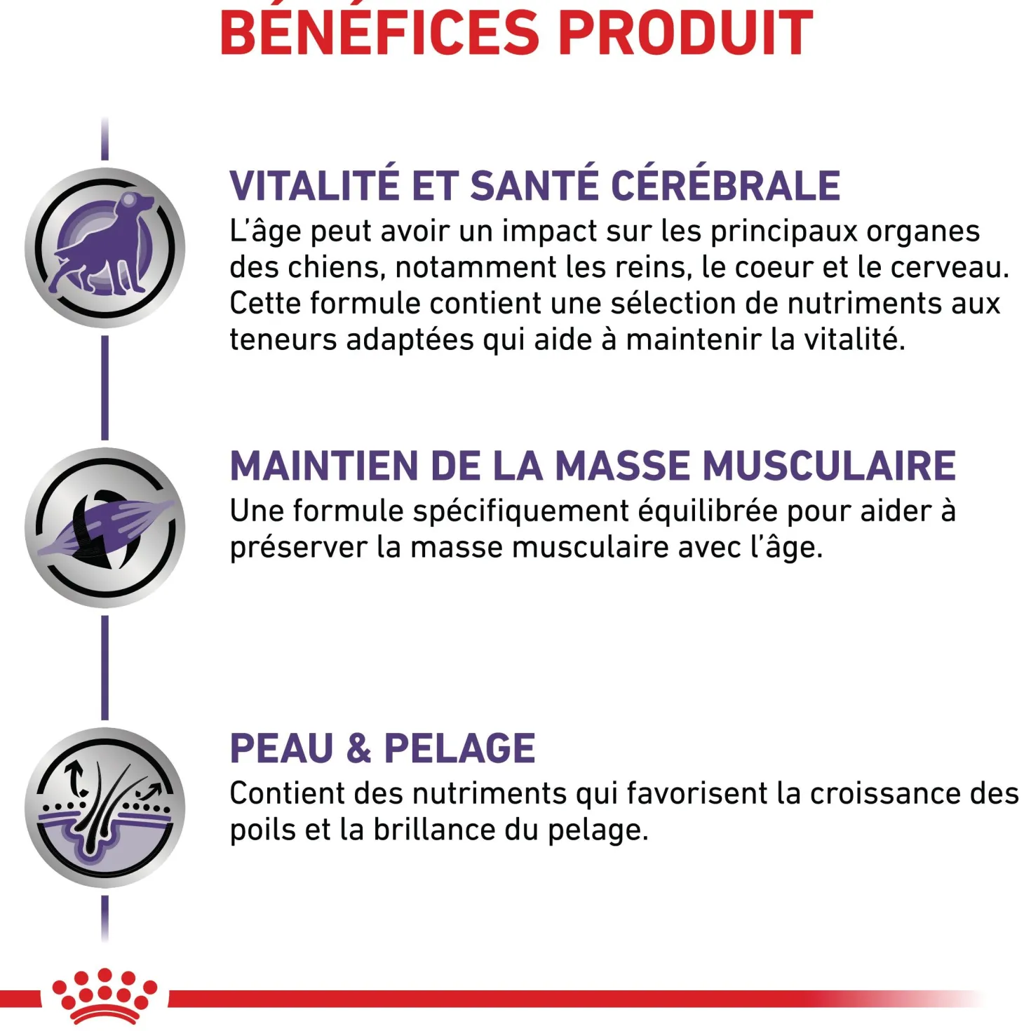Royal Canin Vet Care Mature Dog