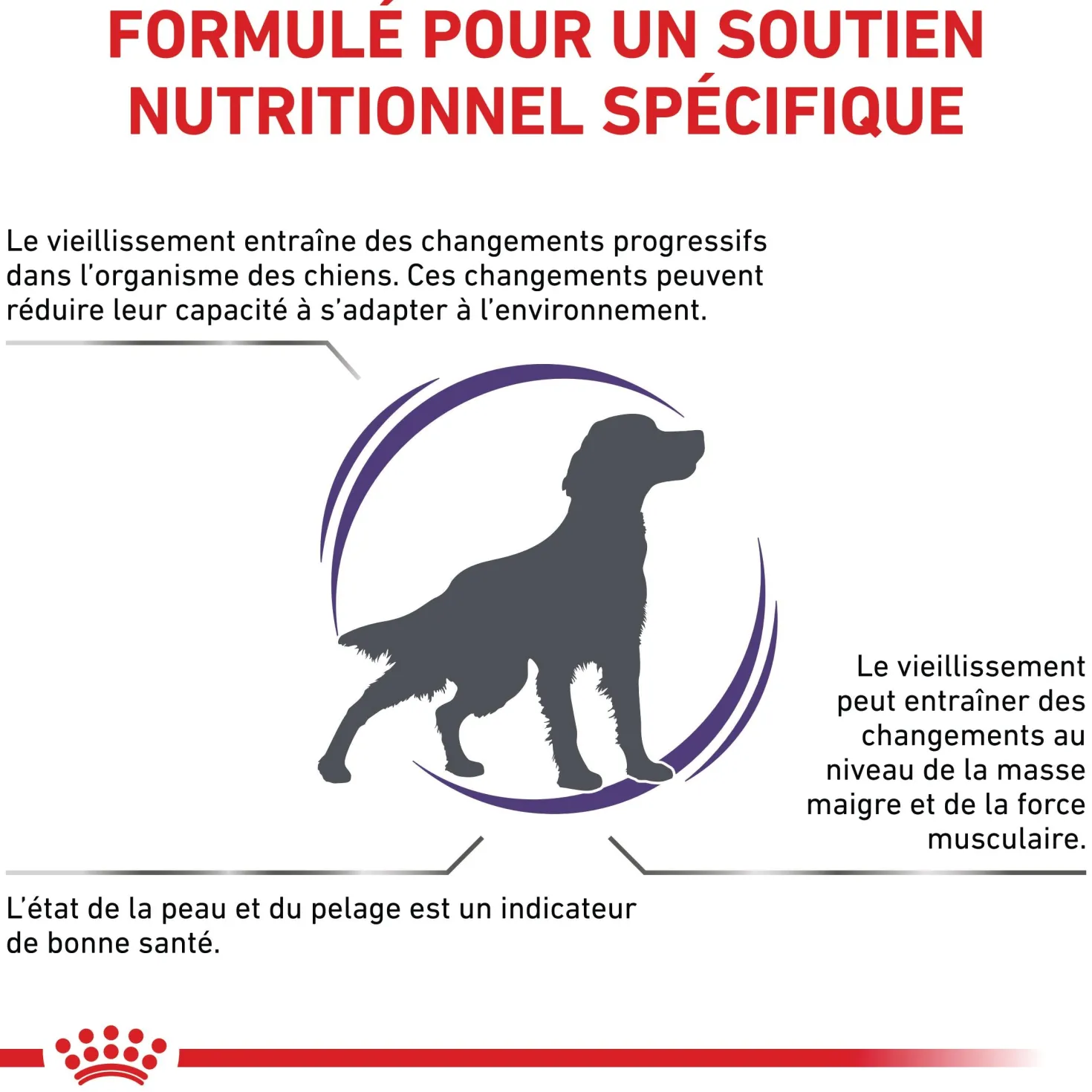 Royal Canin Vet Care Mature Dog