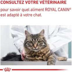 Royal Canin Vet Care Neutered Satiety Balance - croquettes chat
