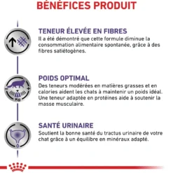 Royal Canin Vet Care Neutered Satiety Balance - croquettes chat