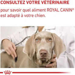 Royal Canin Veterinary Adult Large Dog - croquettes chien