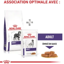 Royal Canin Veterinary Adult Large Dog - croquettes chien