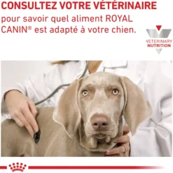 Royal Canin Veterinary Cardiac - aliment chien