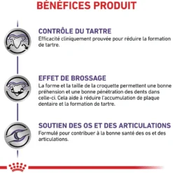 Royal Canin Veterinary Dental Medium & Large Dogs - croquettes chien