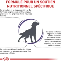 Royal Canin Veterinary Dental Medium & Large Dogs - croquettes chien