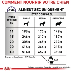 Royal Canin Veterinary Dental Medium & Large Dogs - croquettes chien