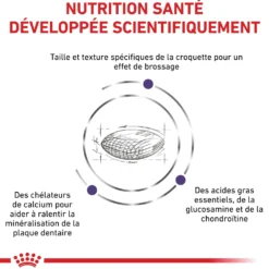 Royal Canin Veterinary Dental Medium & Large Dogs - croquettes chien