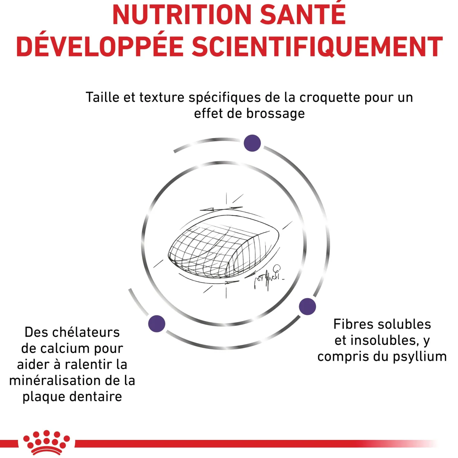 Royal Canin Veterinary Dental - croquettes chat