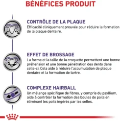 Royal Canin Veterinary Dental - croquettes chat
