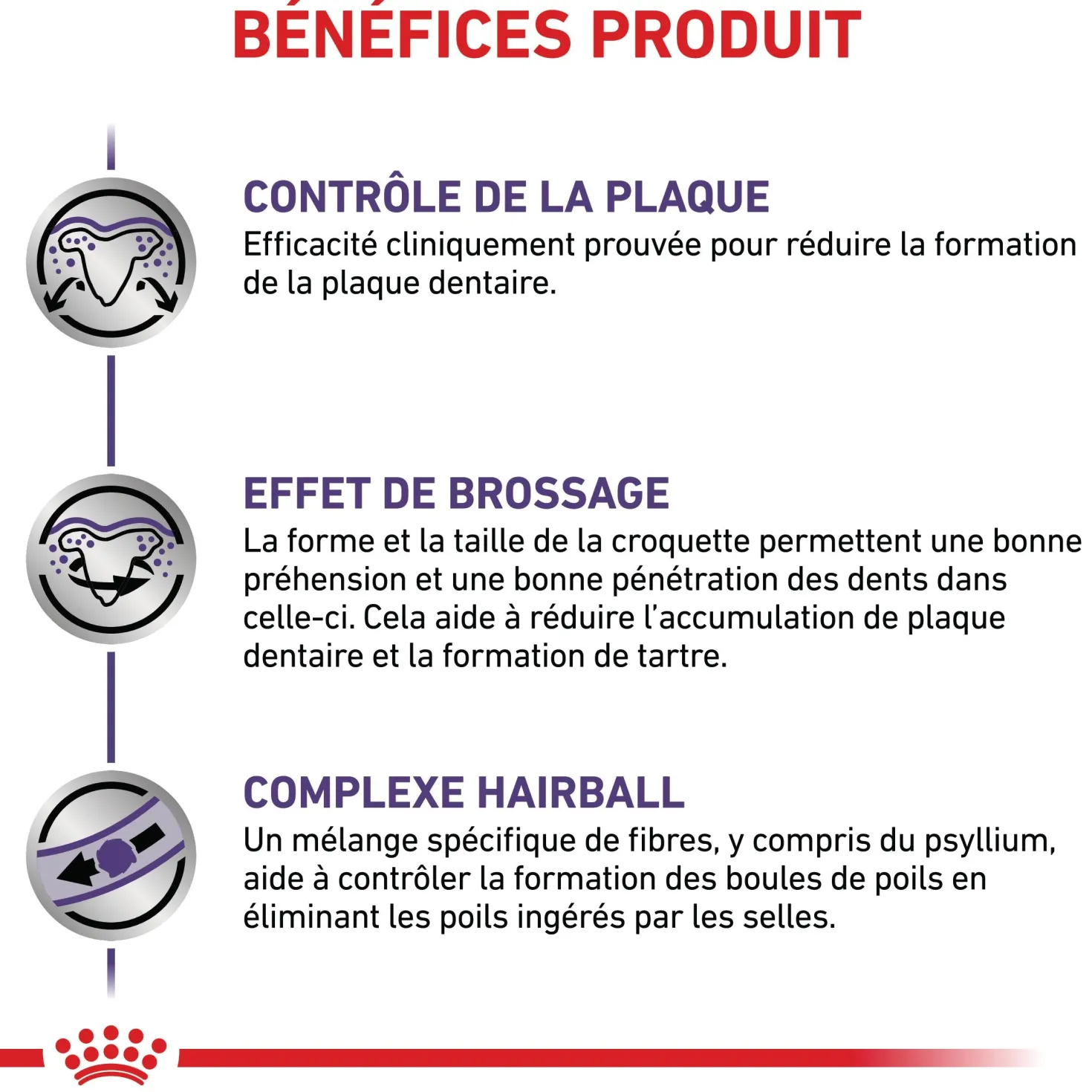 Royal Canin Veterinary Dental - croquettes chat