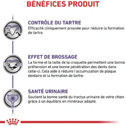 Royal Canin Veterinary Dental Small Dog