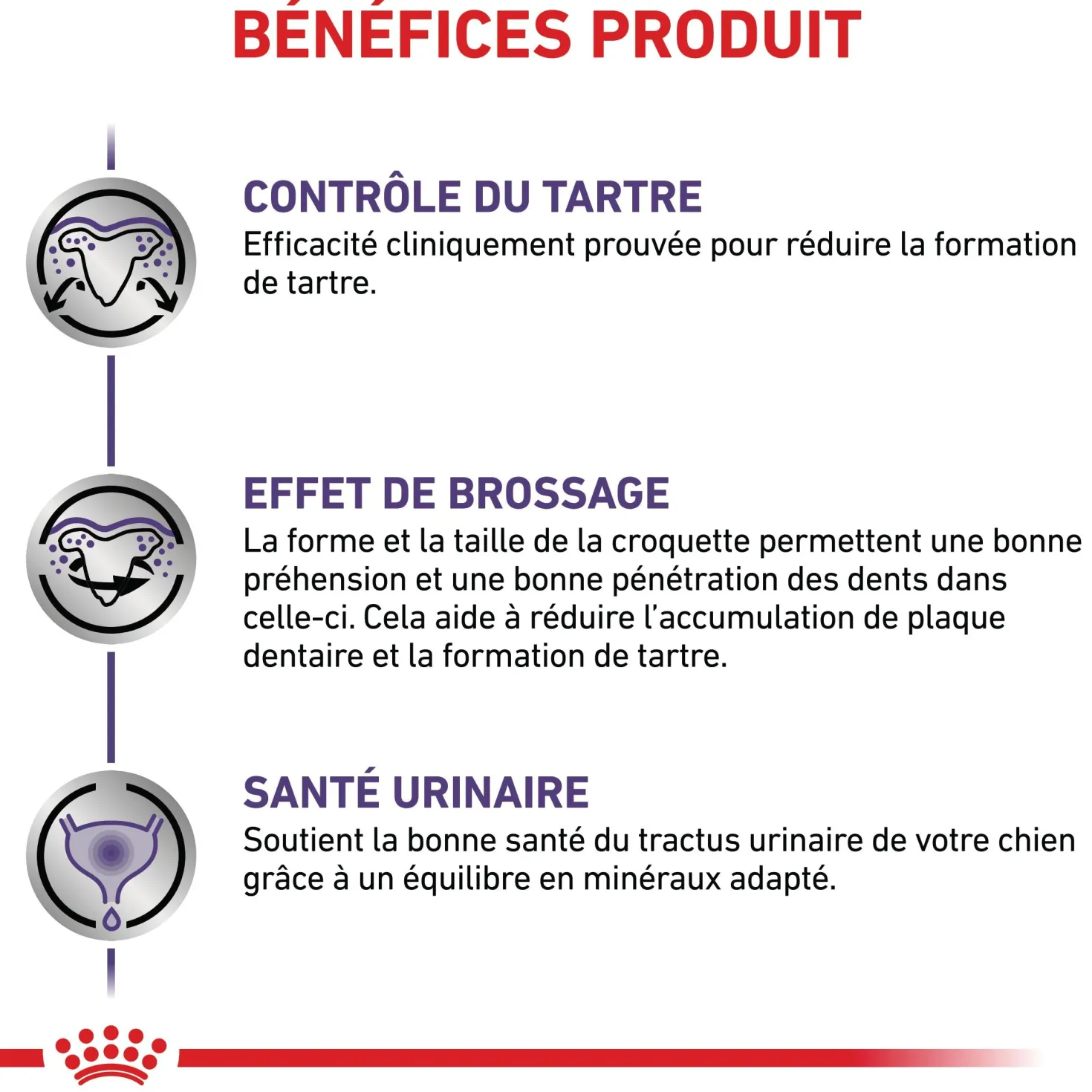 Royal Canin Veterinary Dental Small Dog