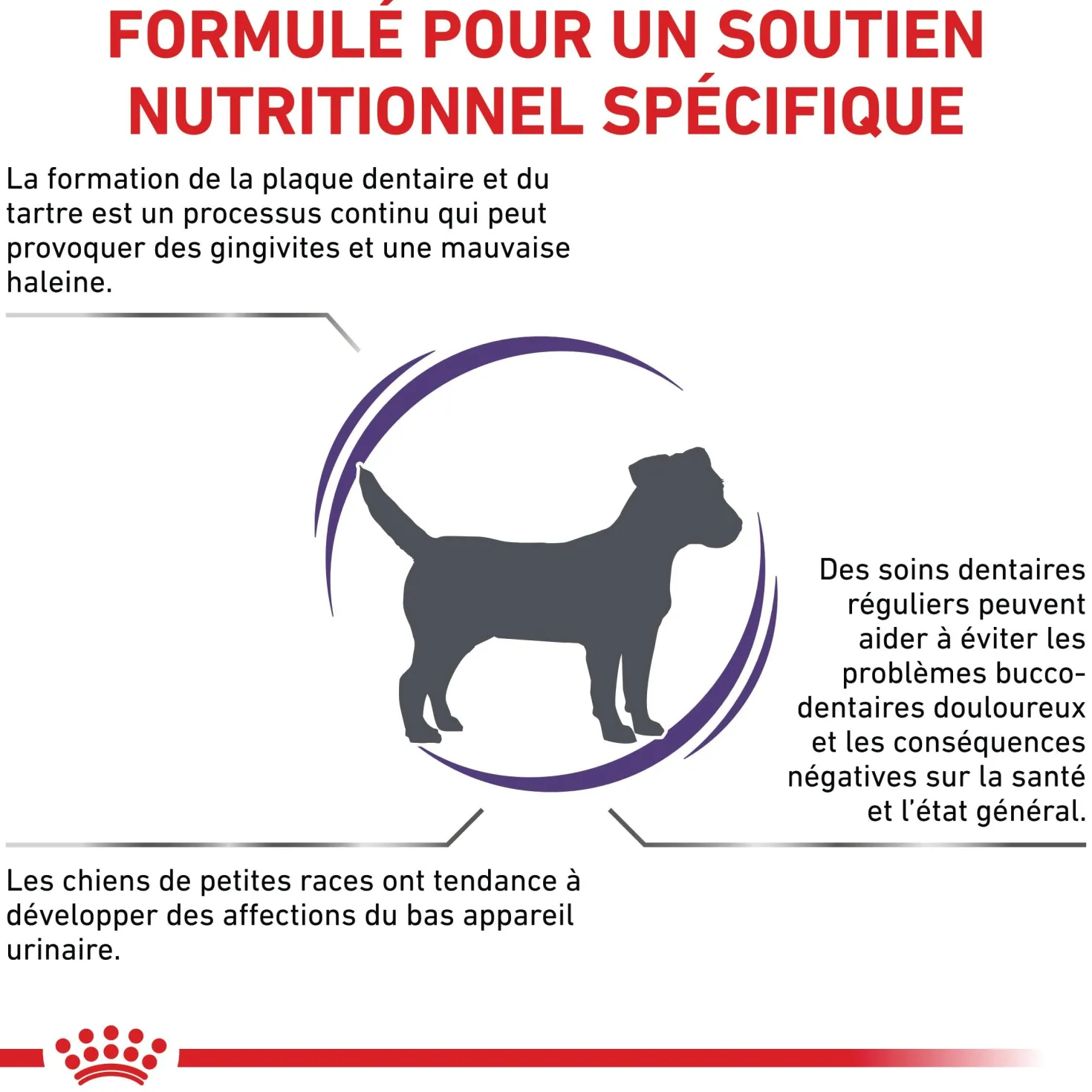 Royal Canin Veterinary Dental Small Dog