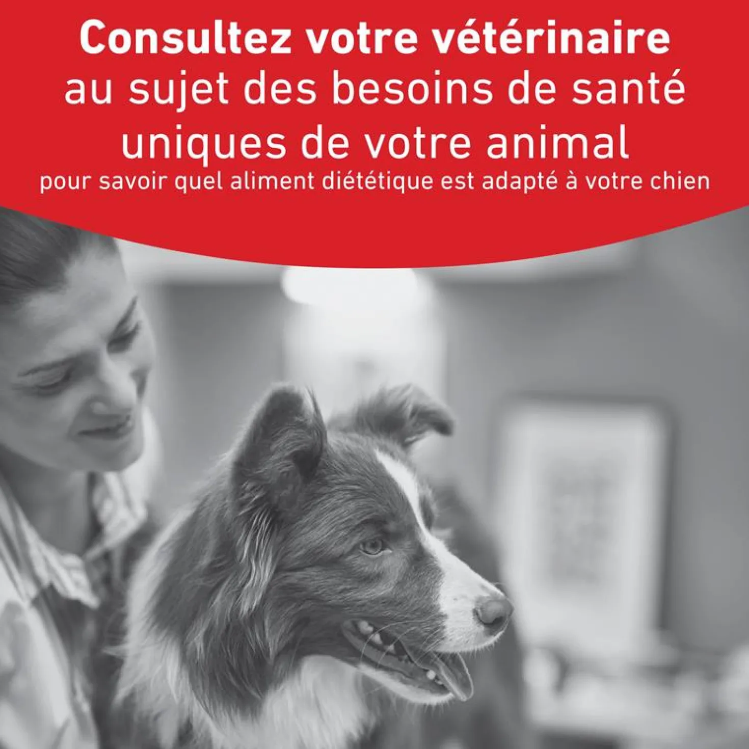 ROYAL CANIN Veterinary Diets Glycobalance pour chien