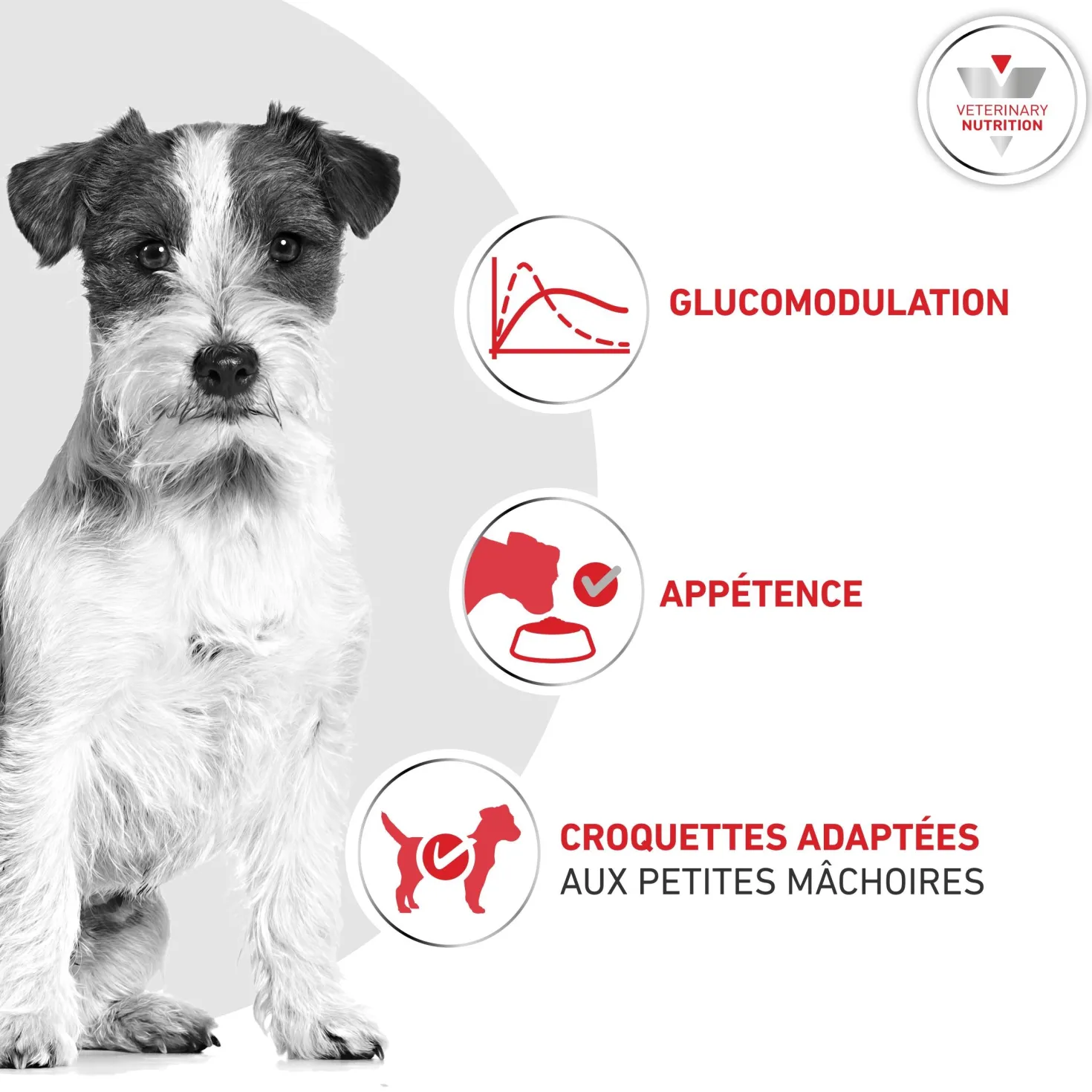 ROYAL CANIN Veterinary Diets Glycobalance pour chien