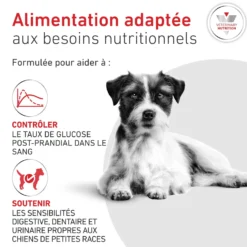 ROYAL CANIN Veterinary Diets Glycobalance pour chien