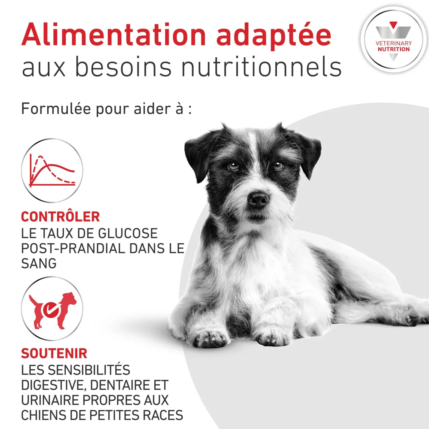 ROYAL CANIN Veterinary Diets Glycobalance pour chien