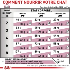 Royal Canin Veterinary Early Renal - aliment chat