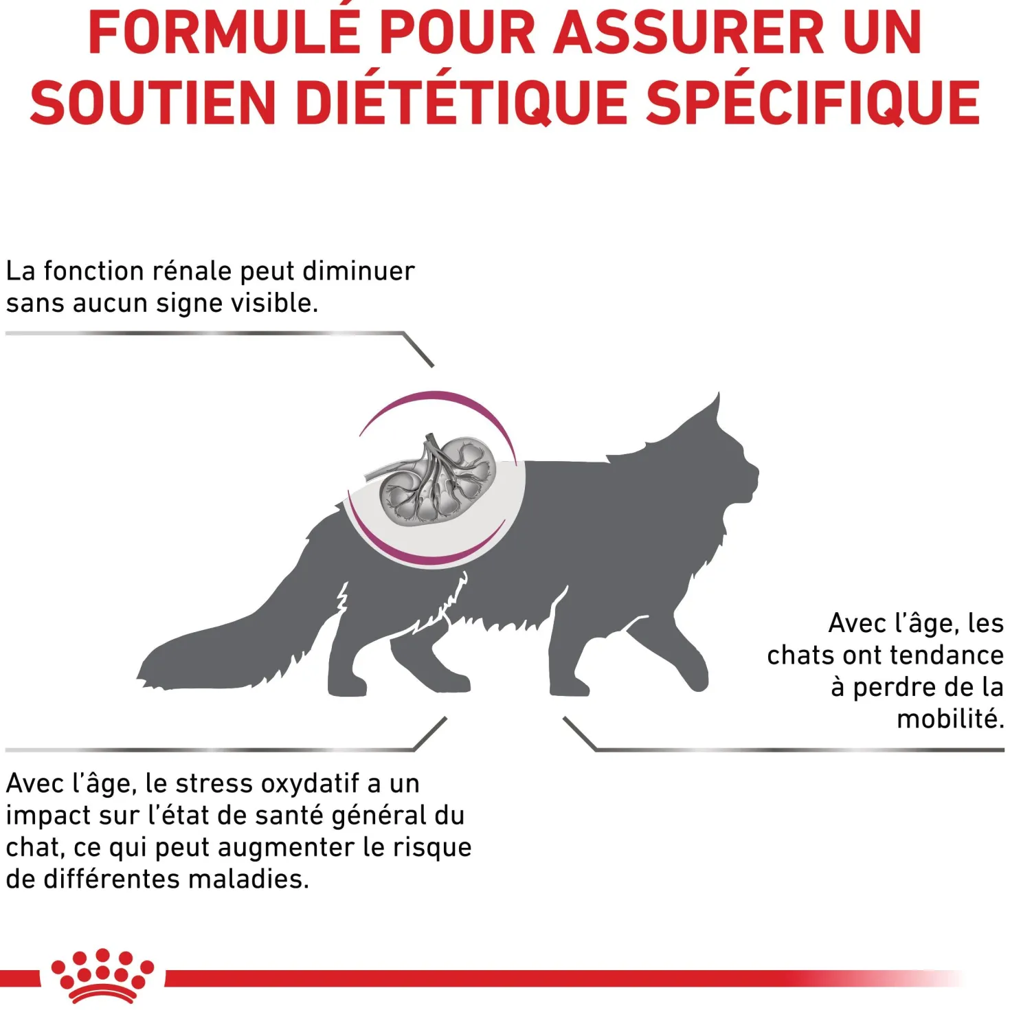 Royal Canin Veterinary Early Renal - aliment chat