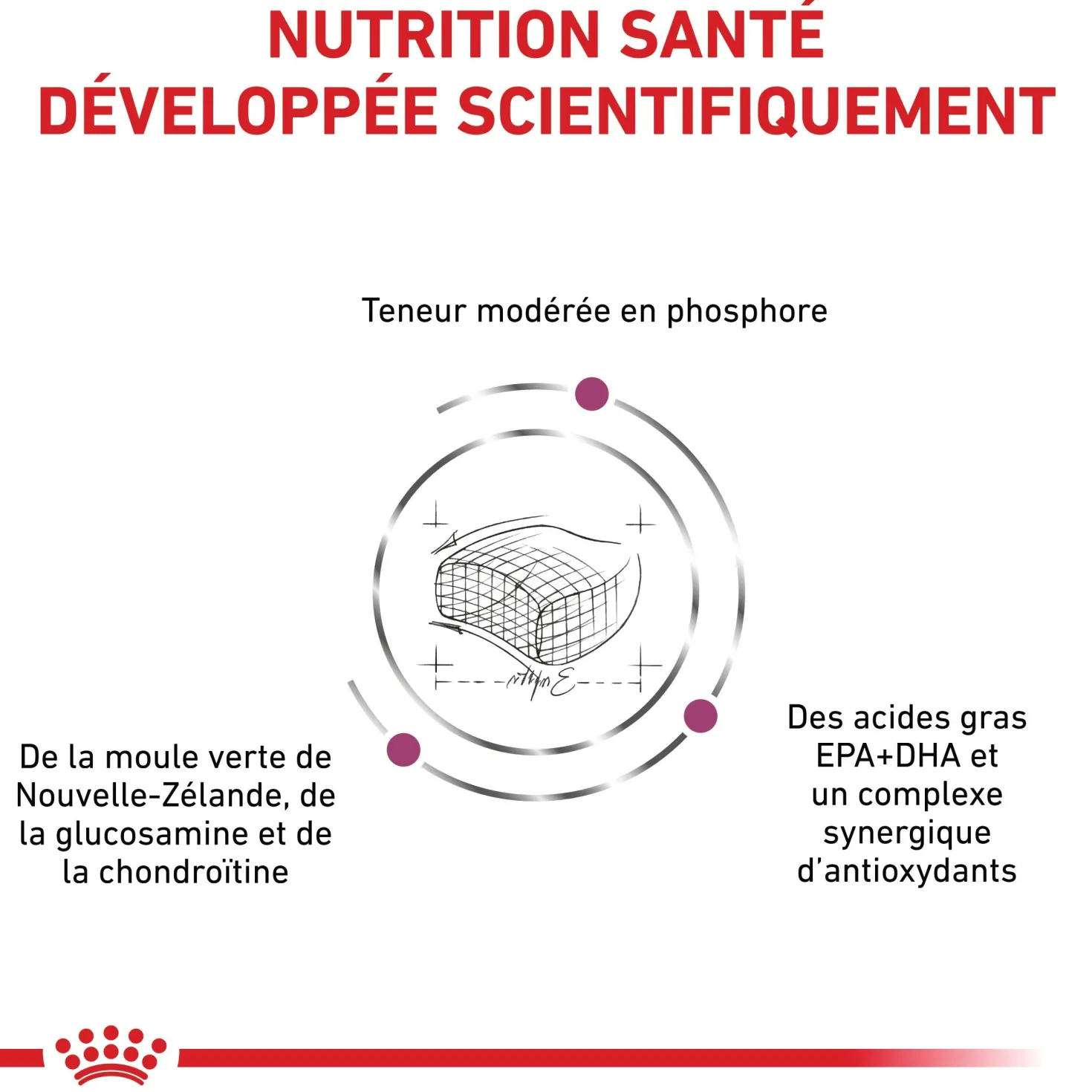 Royal Canin Veterinary Early Renal - aliment chat