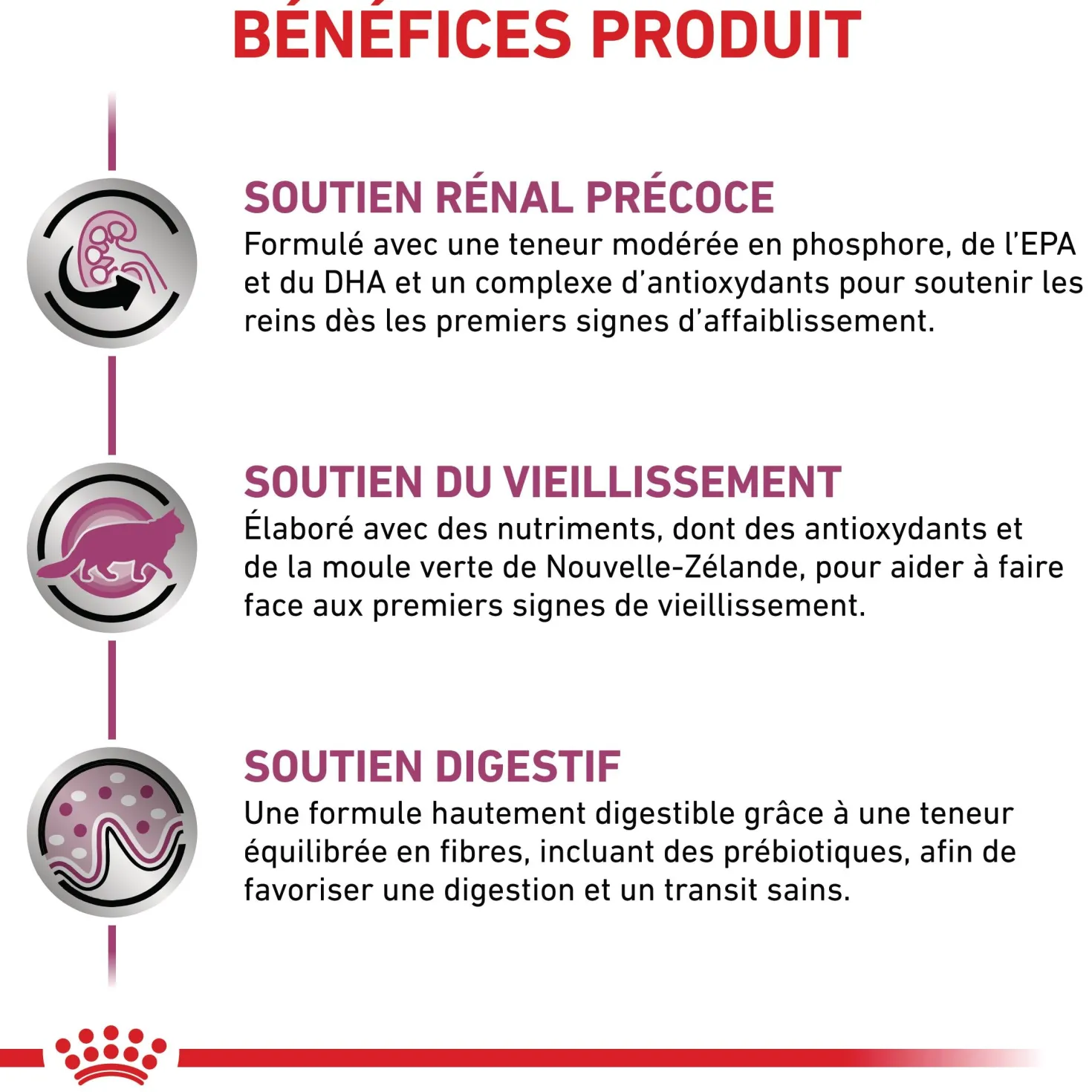 Royal Canin Veterinary Early Renal - aliment chat