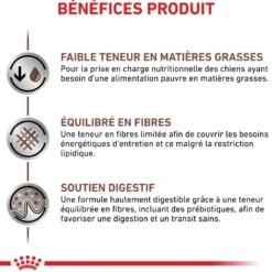 Royal Canin Veterinary Gastrointestinal Low Fat - croquettes chien